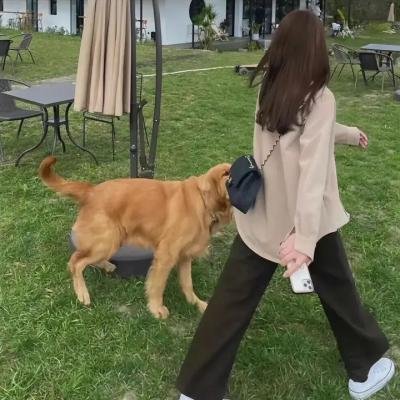 逐冰之旅