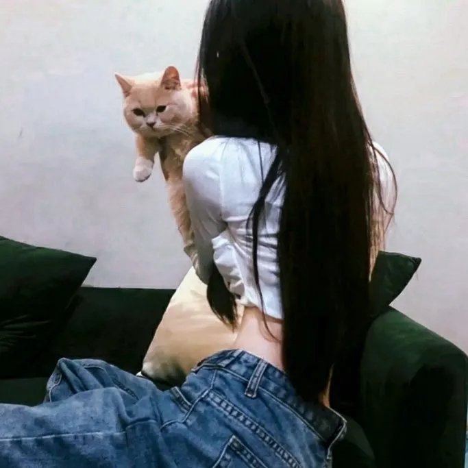 离婚风暴